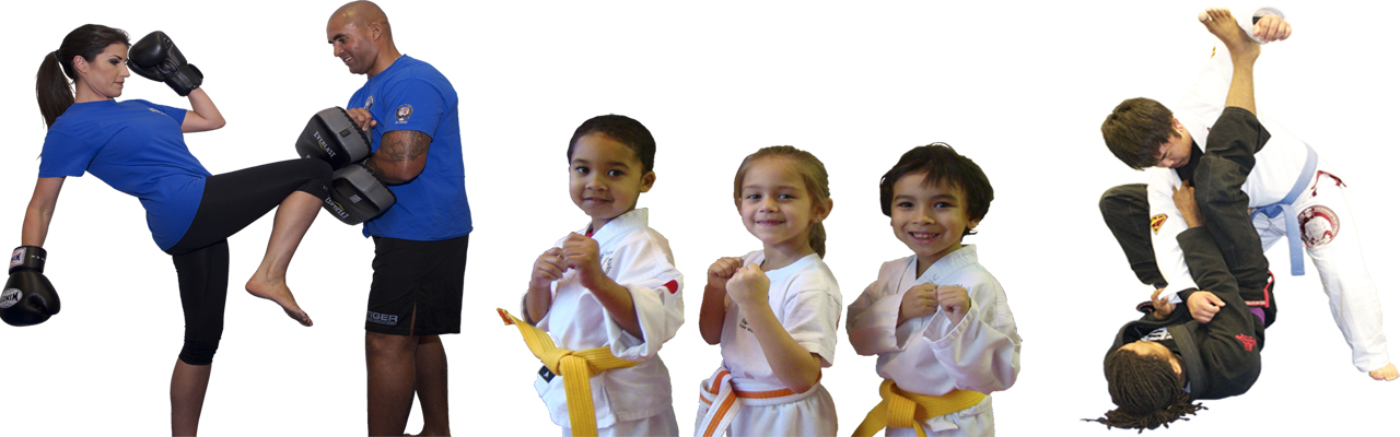Martial Arts Equipments
